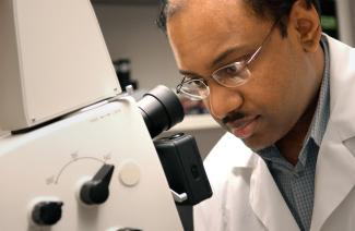 International faculty member looks through microscope