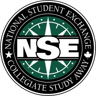 Logo of NSE