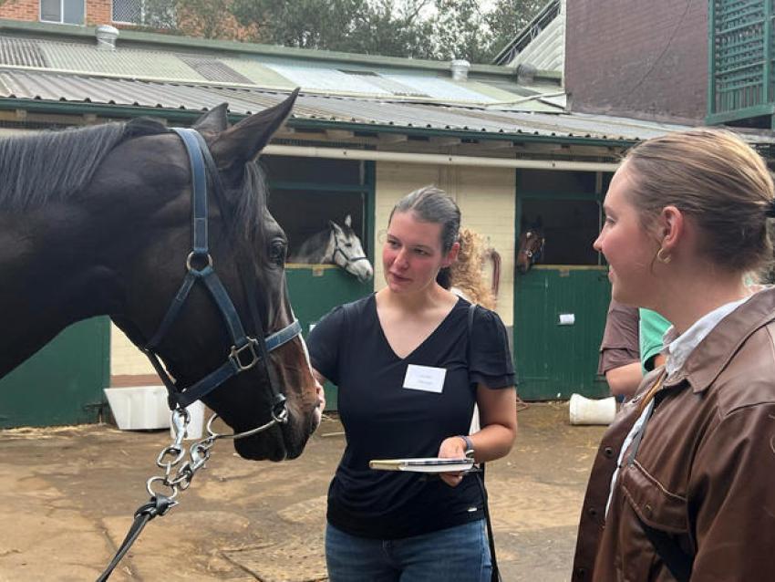 Two students interact with horse